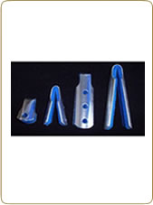 Férulas tipo sombrilla